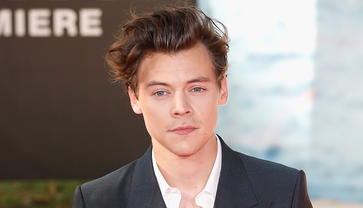 Harry Styles Net Worth 2024 - Bio, Career, Age, Height, Family, Songs ...