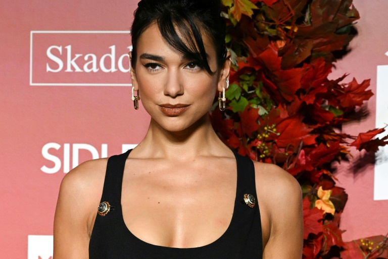 Dua Lipa Net worth 2026
